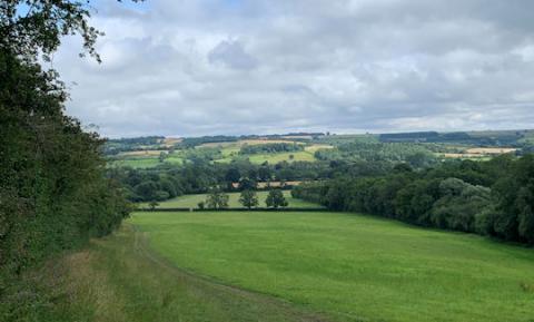 Countryside